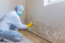 Elroy, NC Mold Inspection Company