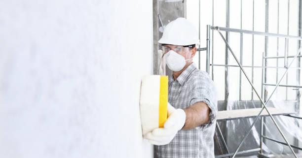 Best Post-Construction Mold Inspection  in Elroy, NC