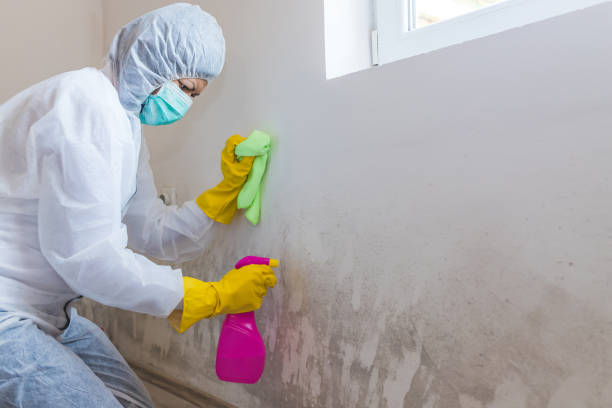 Best Industrial Mold Remediation  in Elroy, NC