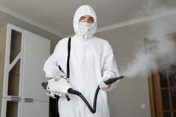 Best Mold Remediation for Healthcare Facilities  in Elroy, NC