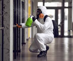 Best Emergency Mold Remediation  in Elroy, NC